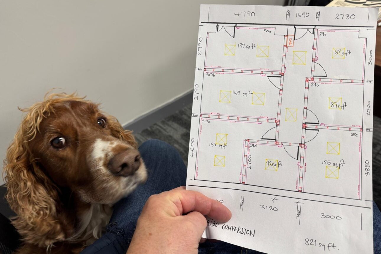 looking at plans